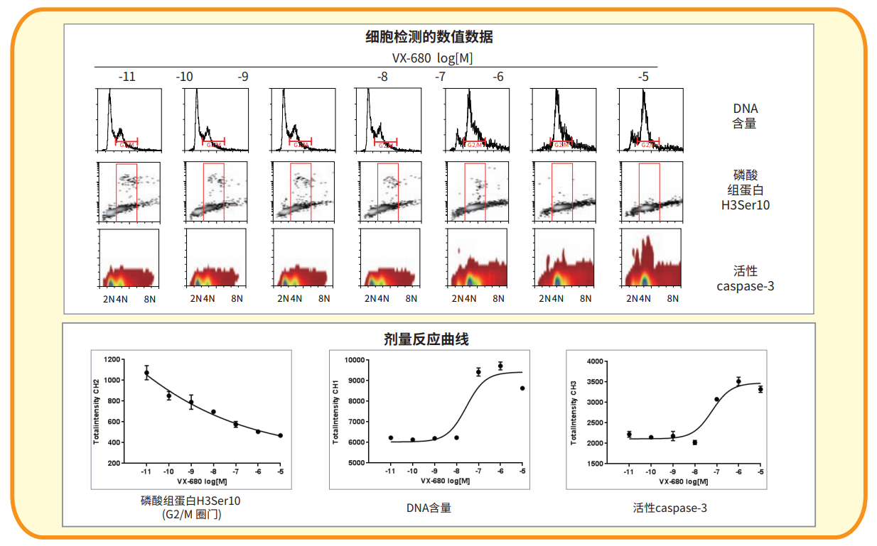 應(yīng)用8 細(xì)胞周期分析.png