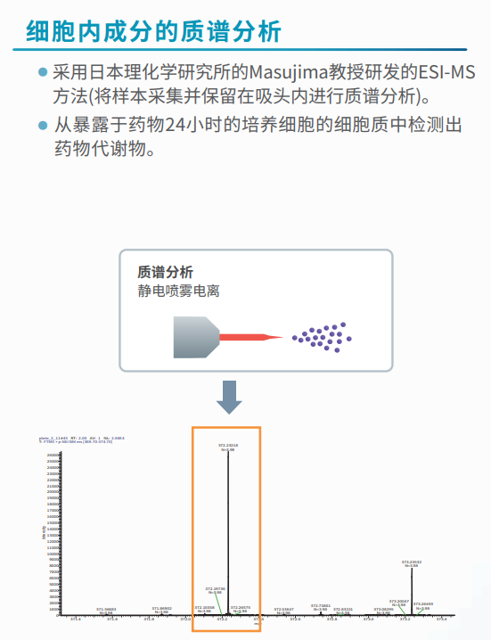 細胞內(nèi)成分的質(zhì)譜分析.png