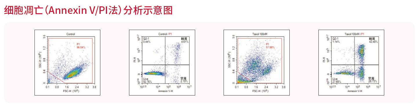 應(yīng)用2-細(xì)胞凋亡.png